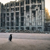 Mit Stable Diffusion generiertes Bild eines Pinguins, der vor zerfallender brutalistischer Architektur vorübergeht, die Trümmer sind an den Rand der Straße geräumt, niemand scheint sich darum zu kümmern.